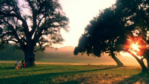 Katy-Perry-Thinking-of-you 065