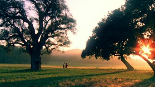 Katy-Perry-Thinking-of-you 070