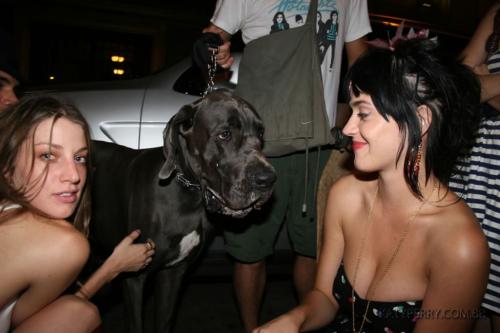 Katy-Perry-Ur-So-Gay 035