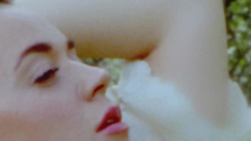 Katy-Perry-Daisies-002