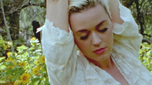 Katy-Perry-Daisies-012