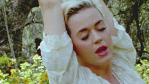 Katy-Perry-Daisies-013