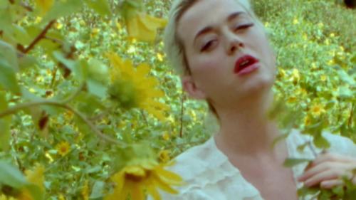 Katy-Perry-Daisies-018