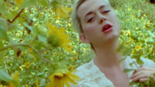 Katy-Perry-Daisies-018