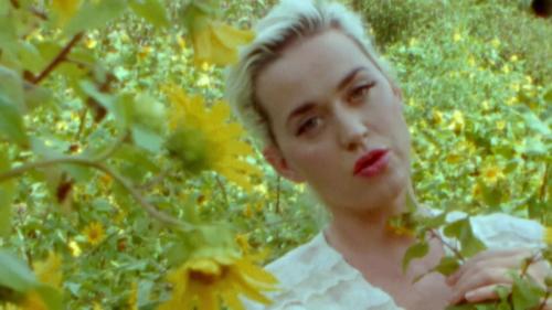 Katy-Perry-Daisies-019