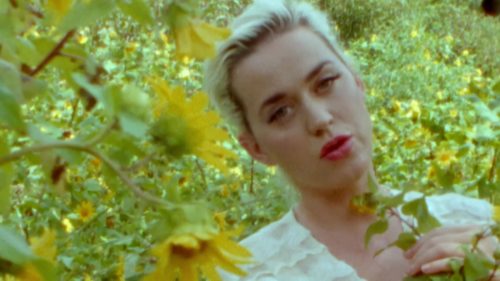 Katy-Perry-Daisies-019