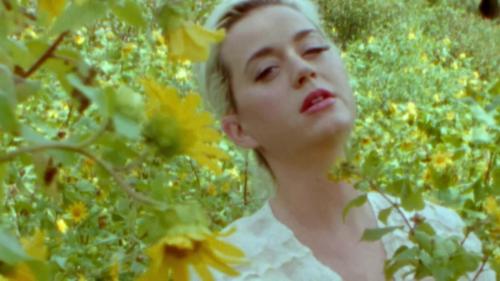 Katy-Perry-Daisies-020