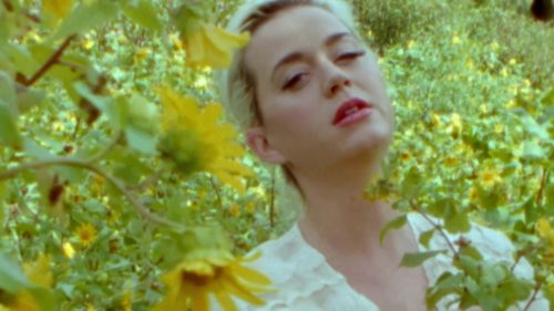 Katy-Perry-Daisies-020