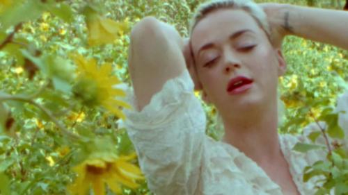 Katy-Perry-Daisies-022