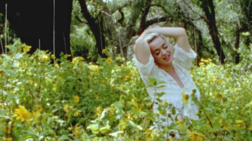 Katy-Perry-Daisies-023