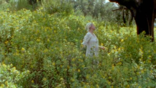 Katy-Perry-Daisies-024