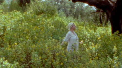 Katy-Perry-Daisies-027