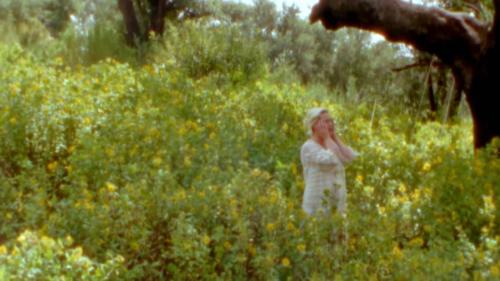 Katy-Perry-Daisies-029