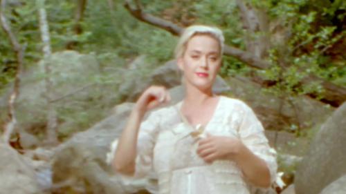 Katy-Perry-Daisies-040