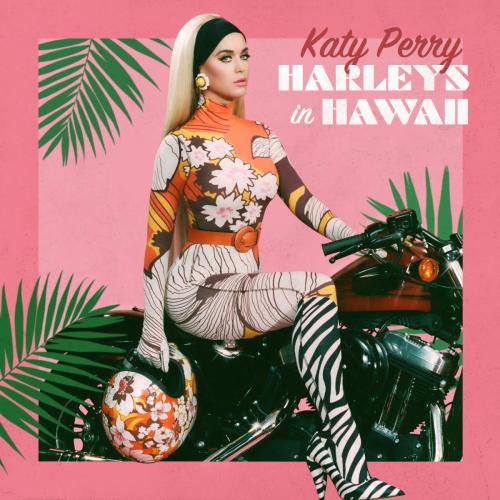 Katy-Perry-Harleys-In-Hawaii-ARTWORK