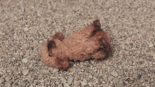 Katy-Perry-Not-The-End-of-the-World-015